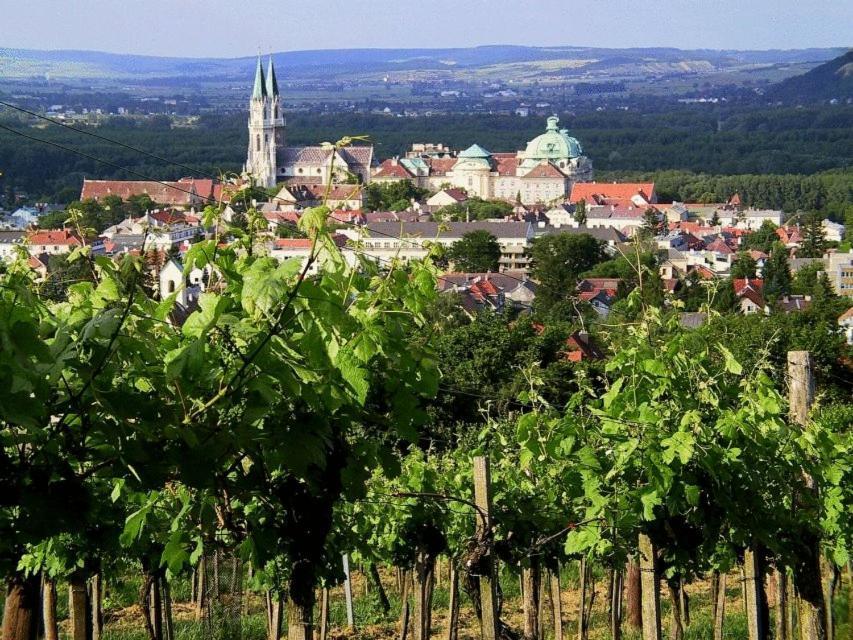 Hotel Pension Alte Muehle Клостернойбург Экстерьер фото